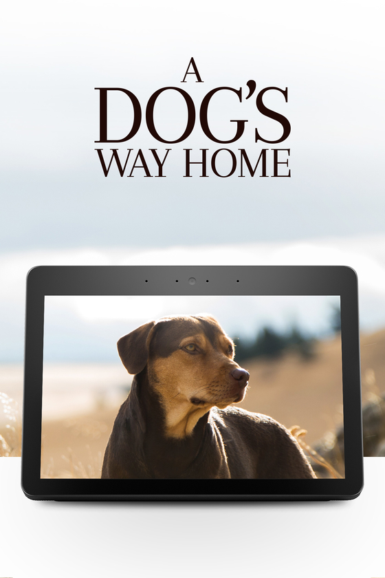 A DOG'S WAY HOME VOICE A DOG'S WAY HOME VOICE